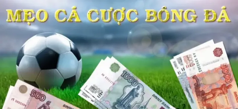 Hình ảnh người hâm mộ bóng đá đang ăn mừng