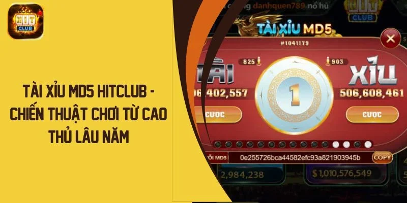 Tài Xỉu MD5 Hitclub - Chiến Thuật Chơi Từ Cao Thủ Lâu Năm